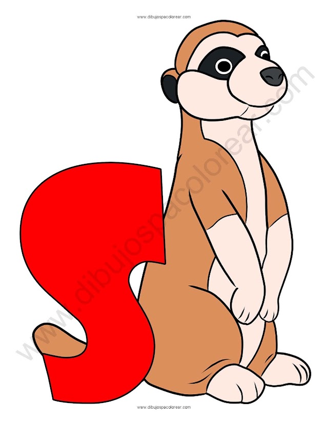 Letra S Suricata abecedario dibujo a color y para colorear